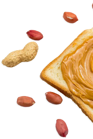 Shape-Image